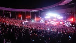 Festivales del verano 2026: Los eventos que se tomaron la TV y los que vienen en febrero