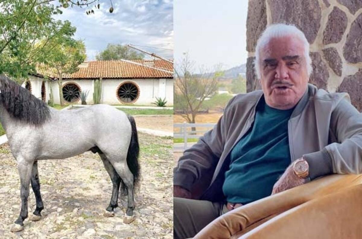Vicente Fernández reveló en qué lugar le gustaría descansar para siempre
