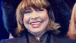 Lo que debes saber de los herederos de Tina Turner