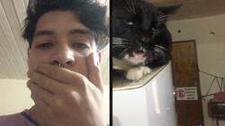 VIDEO: Tunden a TikToker que al parecer drogó a su gato con brownies de marihuana