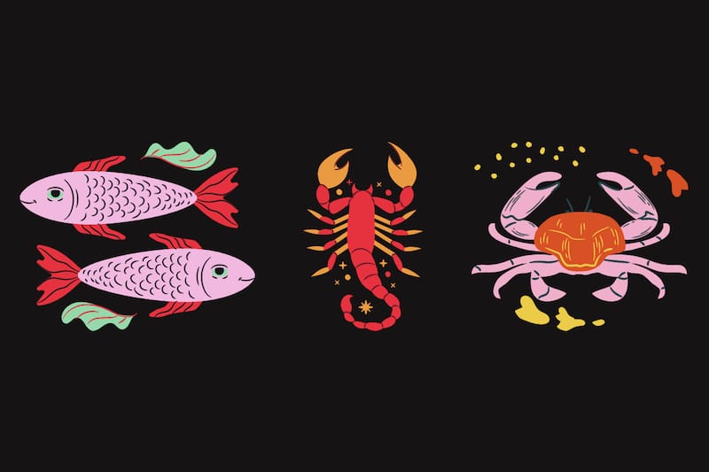 Piscis, Escorpio y Cáncer: ¿qué los hace sensibles?