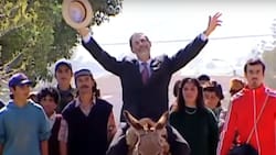 La filmografía de una leyenda: Todas las teleseries y películas que protagonizó Héctor Noguera
