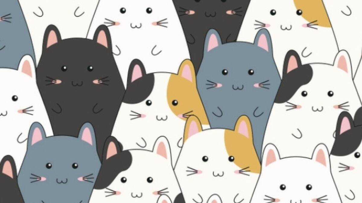 Test visual: ¿Puedes encontrar al gatito en menos de 10 segundos? ¡Te retamos!