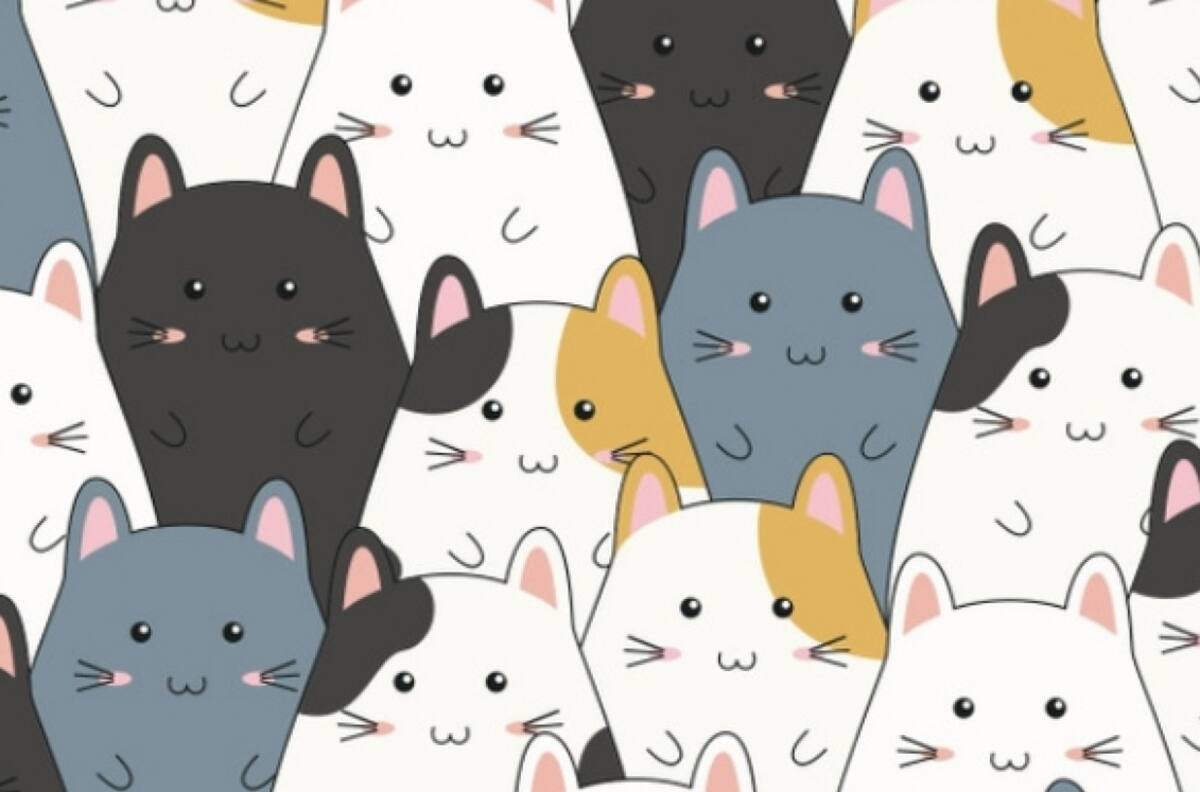 Test visual: ¿Puedes encontrar al gatito en menos de 10 segundos? ¡Te retamos!