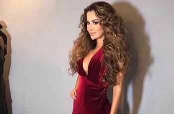 Ninel Conde pone de pretexto el cumpleaños de su hijo para dejar Estados Unidos