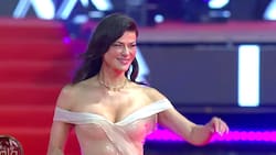 ¿Hubo pifias? Así fue el ingreso de Tonka Tomicic a la Gala de Viña con un vestido transparente