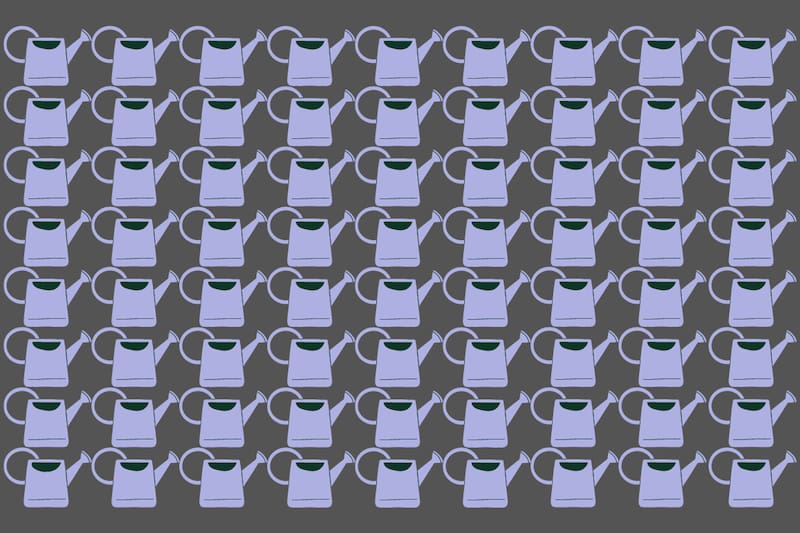 ¿Dónde está la regadera diferente?