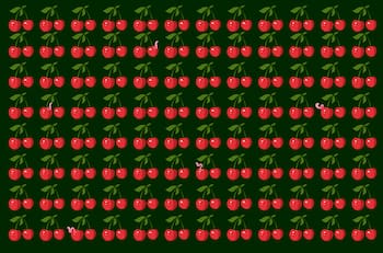 Test visual: ¡Salva a las guindas! Encuentra a los 5 gusanos invasores en menos de 10 segundos