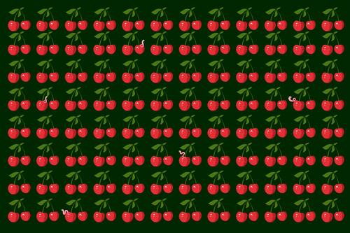 Encuentra los cinco gusanos antes de que se coman las guindas.