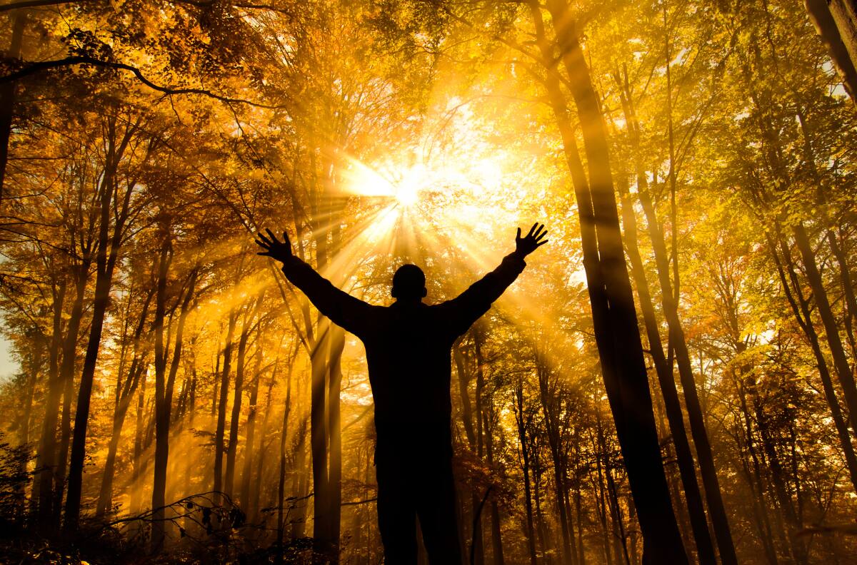 ¿Qué son los guías espirituales y de qué tipo hay?