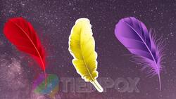 Test de Personalidad: Elige una pluma y descubre el mensaje que estas tienen para ti esta semana