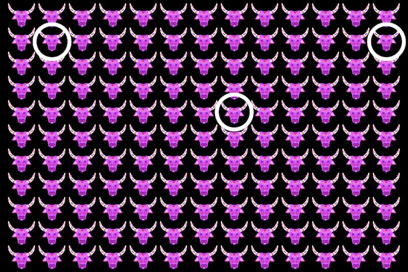 ¡Aquí estaban los toros diferentes!