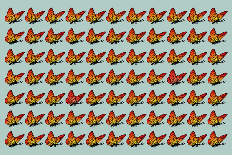 Cuadro lleno de dibujos de mariposas pequeñas.