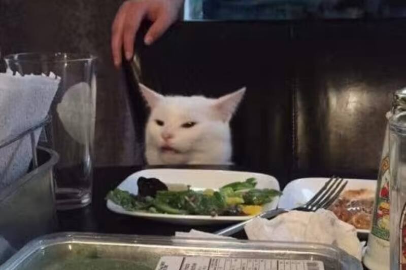 Amante de la comida, la siesta y los placeres, así son las principales características de Tauro.