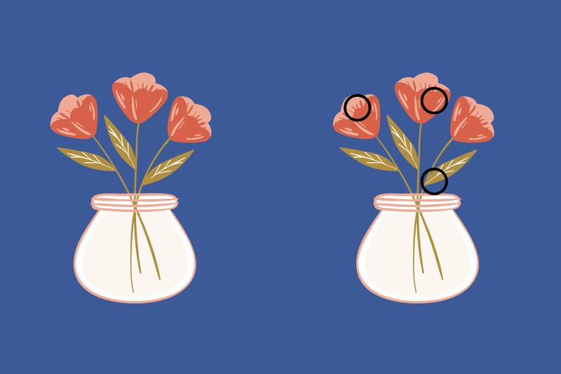 Ilustraciones de floreros.