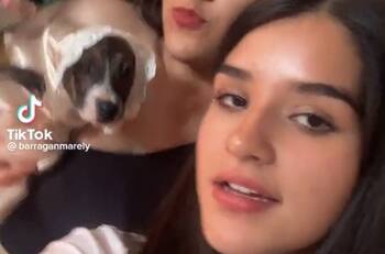 Video: Perritos son bautizados en divertida ceremonia casera con temática de primavera