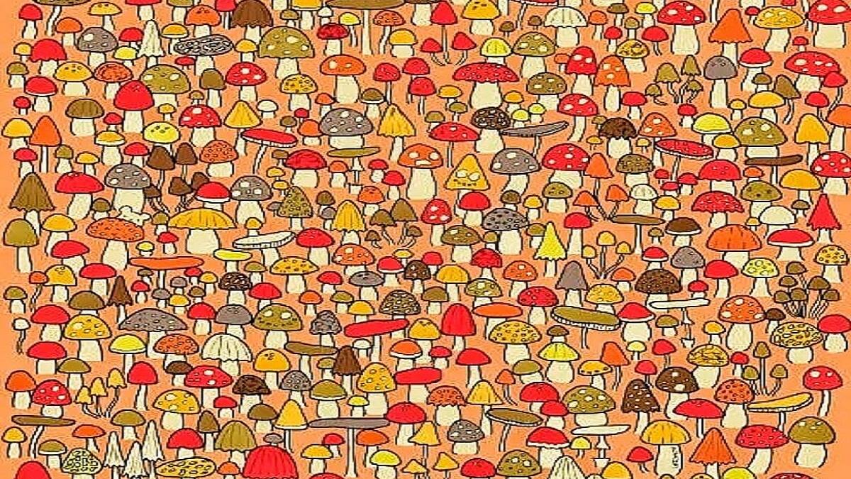 Acertijo visual: descubre al ratoncito escondido en solo 15 segundos