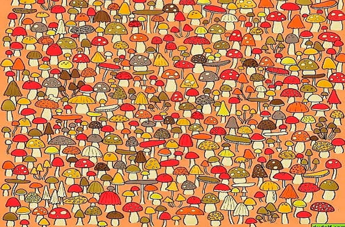 Acertijo visual: descubre al ratoncito escondido en solo 15 segundos