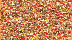 Acertijo visual: descubre al ratoncito escondido en solo 15 segundos