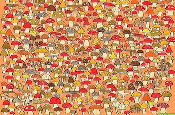 Acertijo visual: descubre al ratoncito escondido en solo 15 segundos