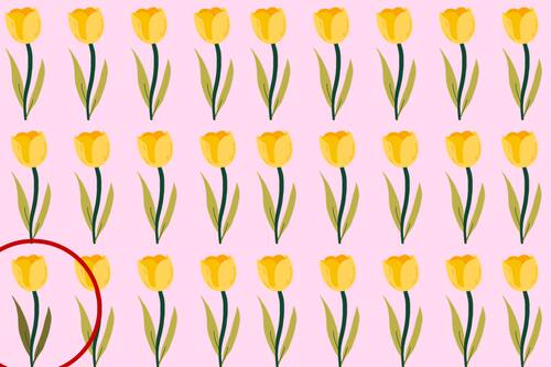 Aquí estaba la flor diferente a las demás.