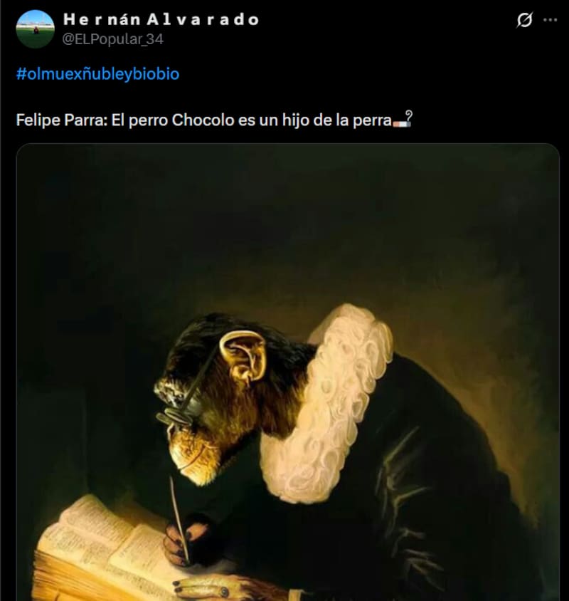 Reacciones de la rutina del imitador en el Patagual.