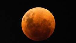 ¿Qué signos del Zodiaco se están viendo más afectados por el Eclipse de Luna Llena en Tauro?