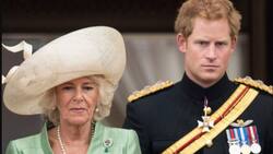 El príncipe Harry nunca pudo aceptar a Camilla, le tiene mucho rencor