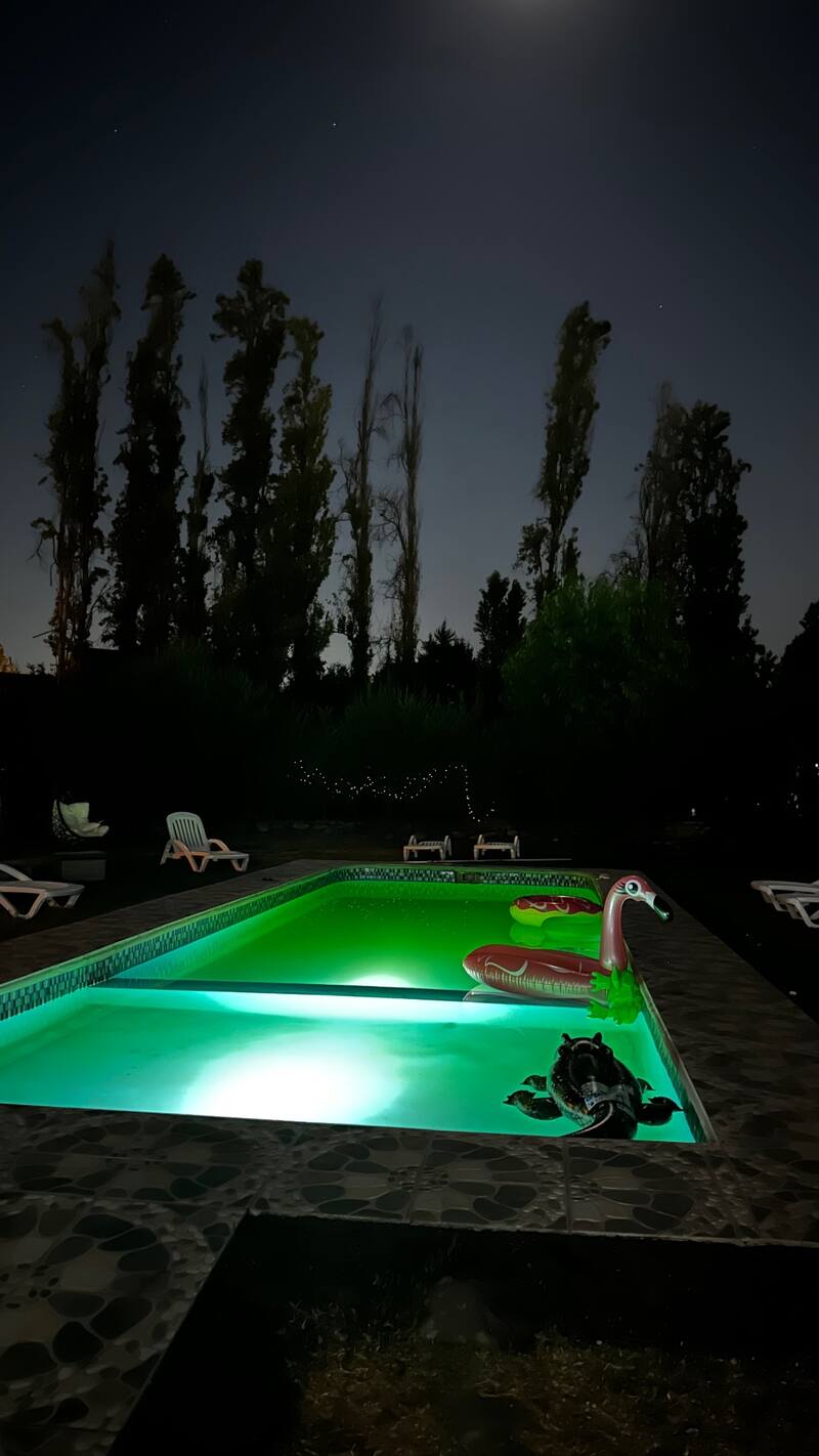 Piscina de Pailita, la cual subió a sus historias de Instagram. - Créditos: Captura de pantalla