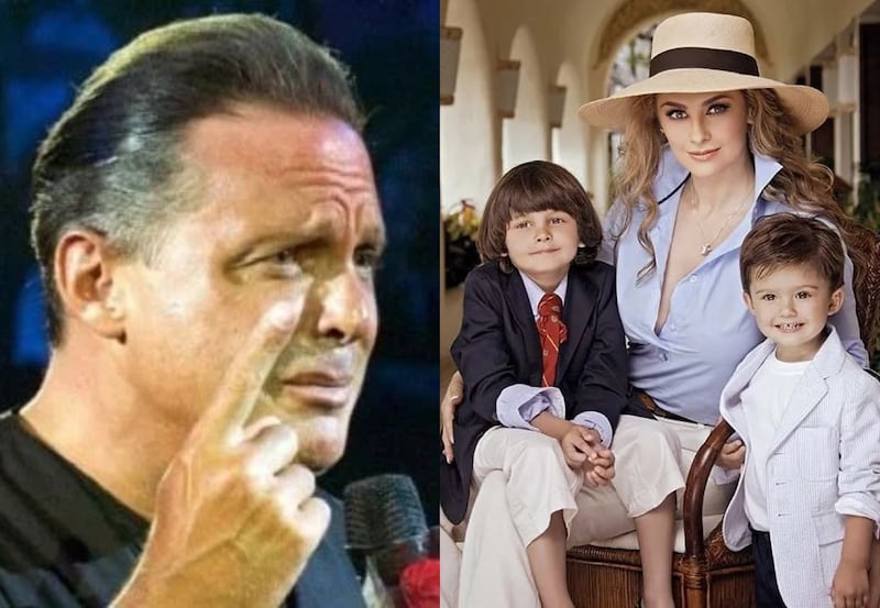 Luis Miguel, Aracely Arámbula y sus hijos