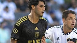 Chicharito Hernández o Carlos Vela: ¿Quién de ellos gana más en la MLS?