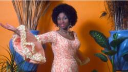 Nueva Jersey rendirá tributo a Celia Cruz y Bon Jovi