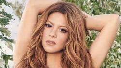 La vez que Shakira usó el mismo vestido que otra famosa en una Alfombra Roja