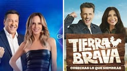 Estos son los tres realitys que se tomarán las pantallas chilenas este 2024