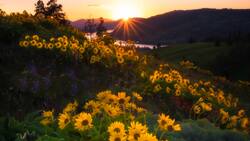 Hoponopono: ¿Qué es y cómo aplicarlo en nuestra vida?