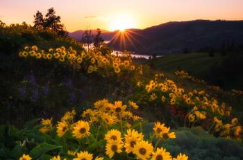 Hoponopono: ¿Qué es y cómo aplicarlo en nuestra vida?