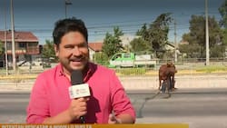 “Es tremendamente irresponsable”: Priscilla Vargas se lanzó contra cobertura de Gino Costa en CHV