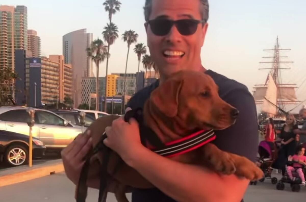 Marco Antonio Regil exige trato digno para los animales