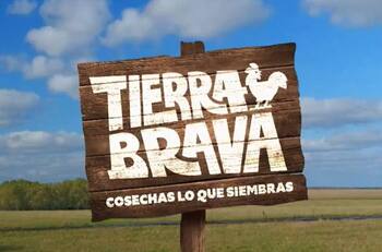 Pamela Díaz VS Camila Campos: Estos serían bandos dentro de “Tierra Brava”