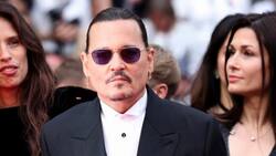 Johnny Deep desaira las fiestas en Cannes en medio de sus polémicas declaraciones contra Hollywood