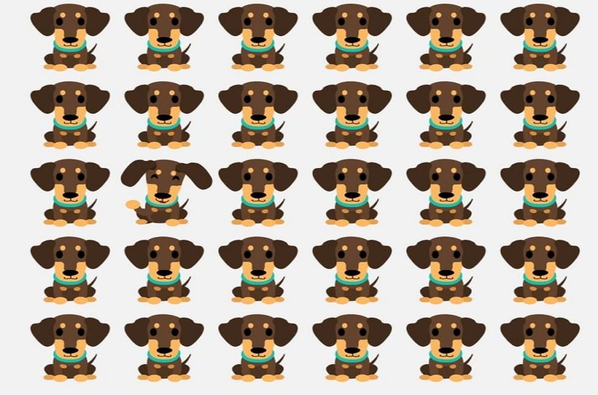 Acertijo visual: Encuentra al perro distinto en menos de 10 segundos