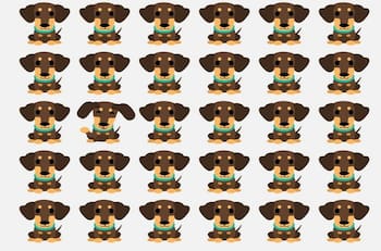 Acertijo visual: Encuentra al perro distinto en menos de 10 segundos