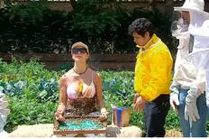 Spoiler en tiempo real: Filtran que querida y popular concursante fue eliminada de El Internado