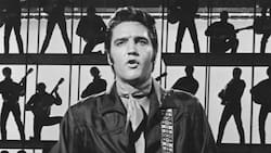 Subasta del jet privado de Elvis Presley: la nave estuvo en el desierto casi 40 años