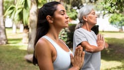 Chat GPT: ¿Qué consejos tiene para cada signo zodiacal?