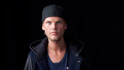 Google dedica su "doodle" al DJ Avicii en el que sería su día de cumpleaños