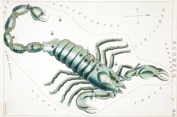 Escorpio: ¿Cómo es en el amor este signo zodiacal y cuál es su compatibilidad con cada integrante del Zodiaco?