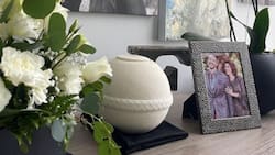 ¿Dónde descansarán los restos de Fernando del Solar?