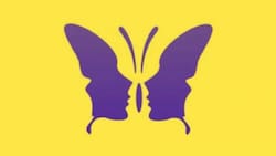 Test de personalidad: Descubre qué tan empático eres