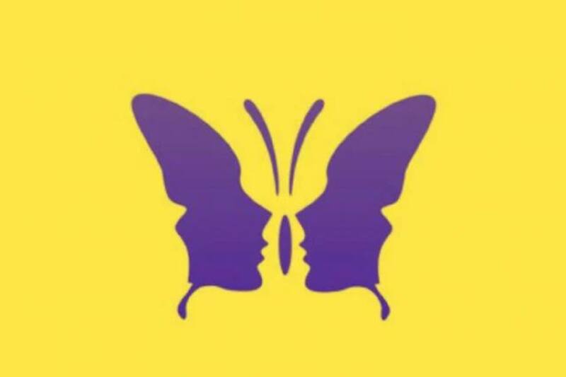 ¿Qué es lo que logras ver primero en la foto?